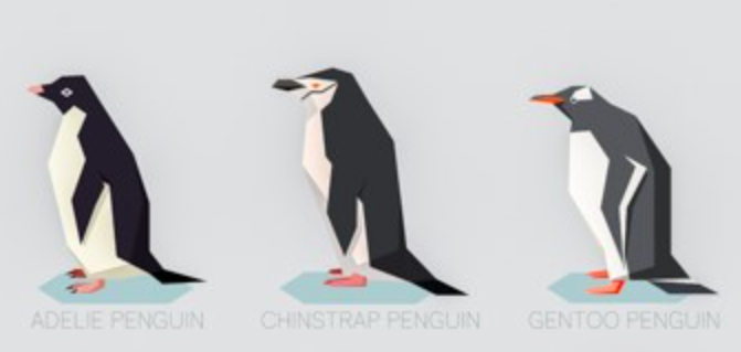 Penguins