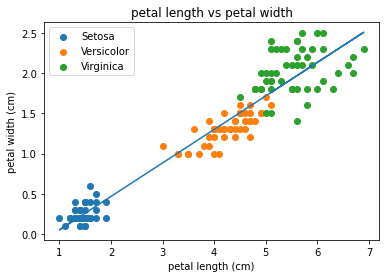 graph of the test regression data
